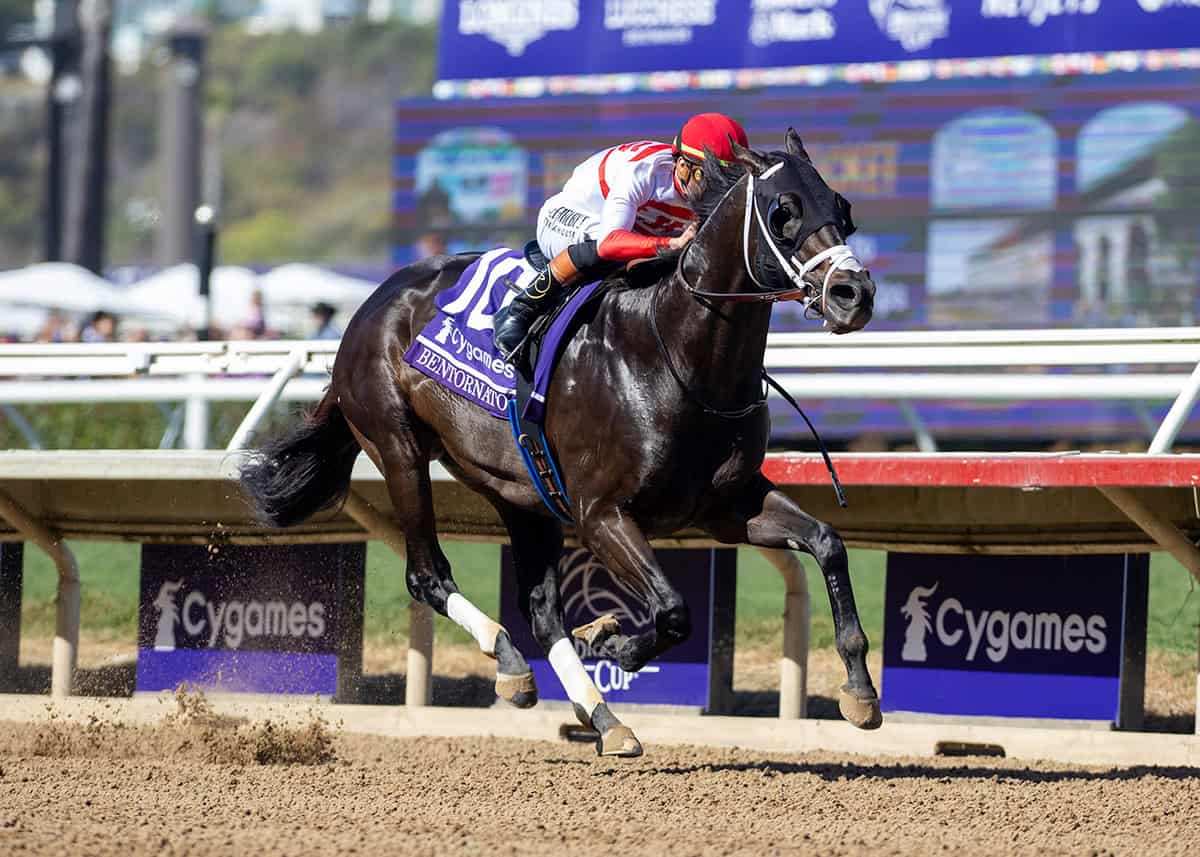 Florida-bred Thoroughbred Bentornato and jockey Irad Ortiz Jr. power through the stretch in a dominating win of the 2025 Breeders’ Cup Sprint at Del Mar Thoroughbred Club. (Photo: ©Benoit)