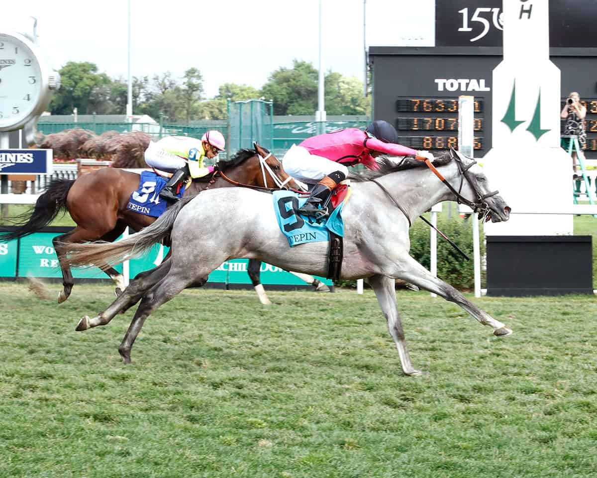 Florida-bred Thoroughbred Dancing N Dixie, guided by jockey Jose Ortiz, stretches out across the wire. The duo held the lead against inside rail competition, winning the 2024 Tepin Stakes at Churchill Downs. (Photo: ©Kurtis Coady/Coady Media)