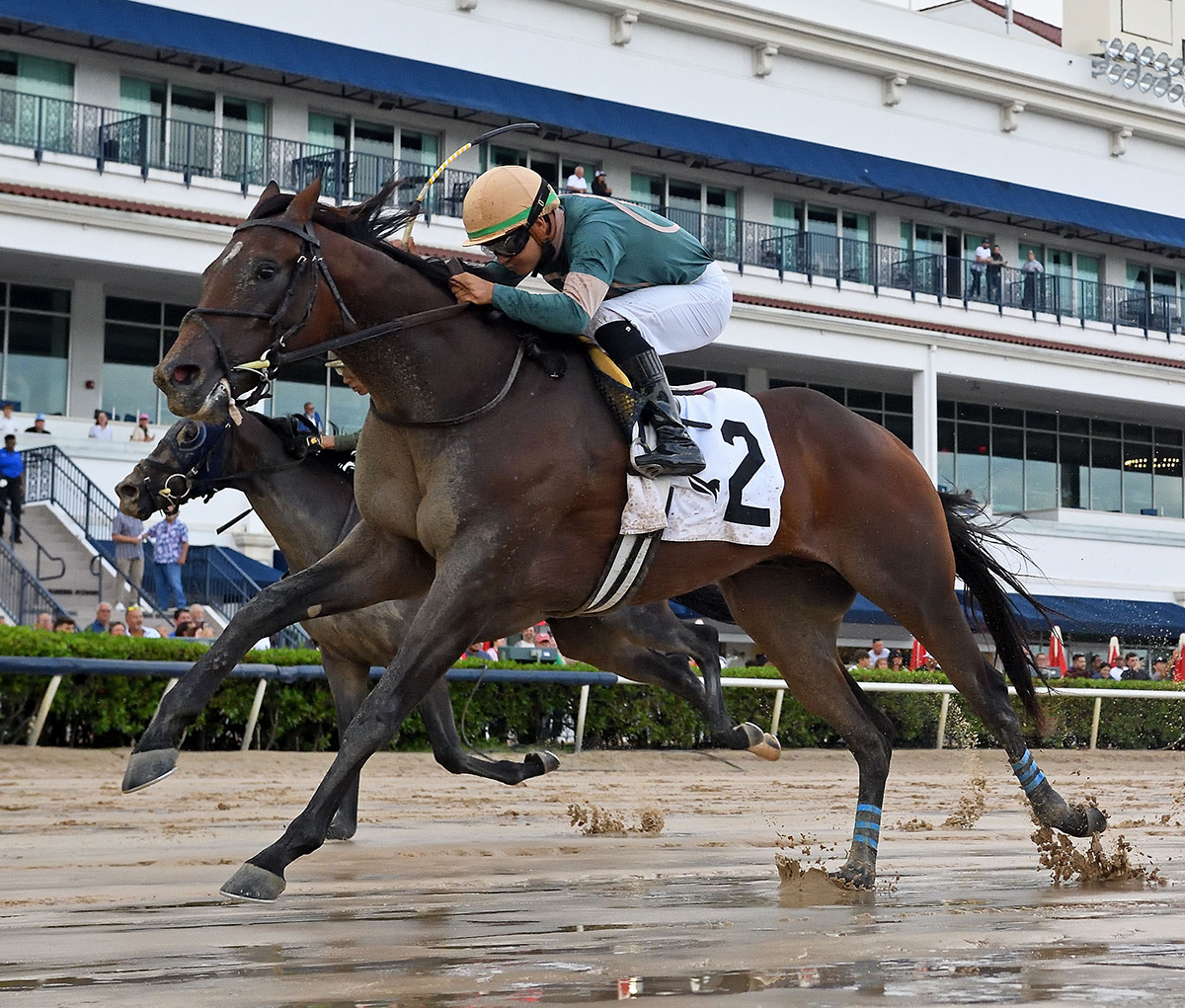Florida-bred Thoroughbred Diciassette, guided by jockey Jonathan Ocasio, stretches out to the wire at Gulfstream Park. Competitor Khon Han applies pressure from the outside, but Diciassette held the lead to win the 2025 Proud Man. (Photo: ©Ryan Thompson)