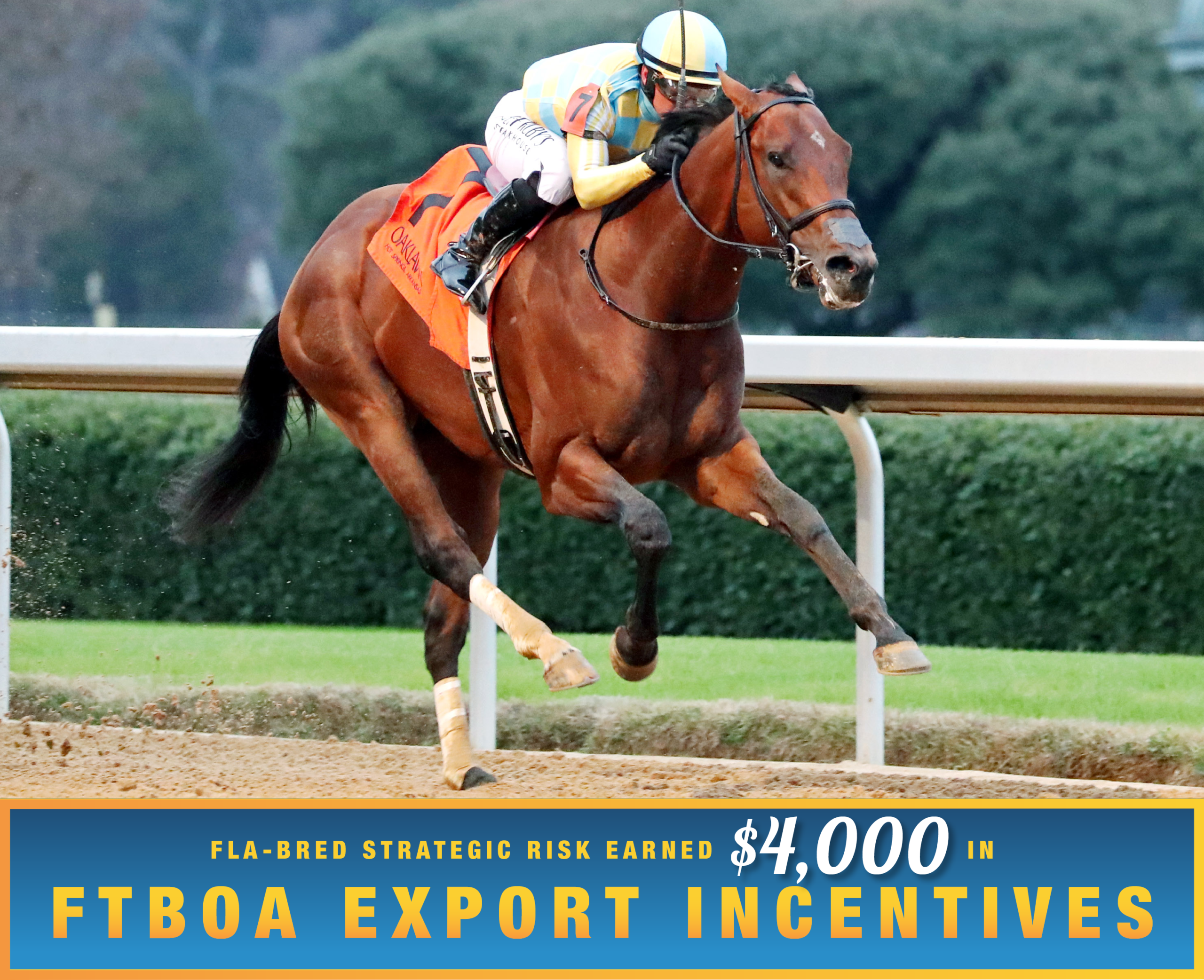 Florida-bred Thoroughbred Strategic Risk, guided by jockey Javier Castellano, gallops ahead of competition, dominating the field to score the 2026 Smarty Jones (Listed) at Oaklawn Park. (Photo: ©Kara West/Coady Media) Beneath the photo, a light blue to dark blue gradient stretches across the width, outlined in an orange to yellow faded frame. The text in the frame reads, “Fla-Bred Strategic Risk Earned $4,000 in FTBOA Export Incentives.” All the text is sans serif, all capitalized in bright orange, except for “$4,000” which is in a white shadowed script.