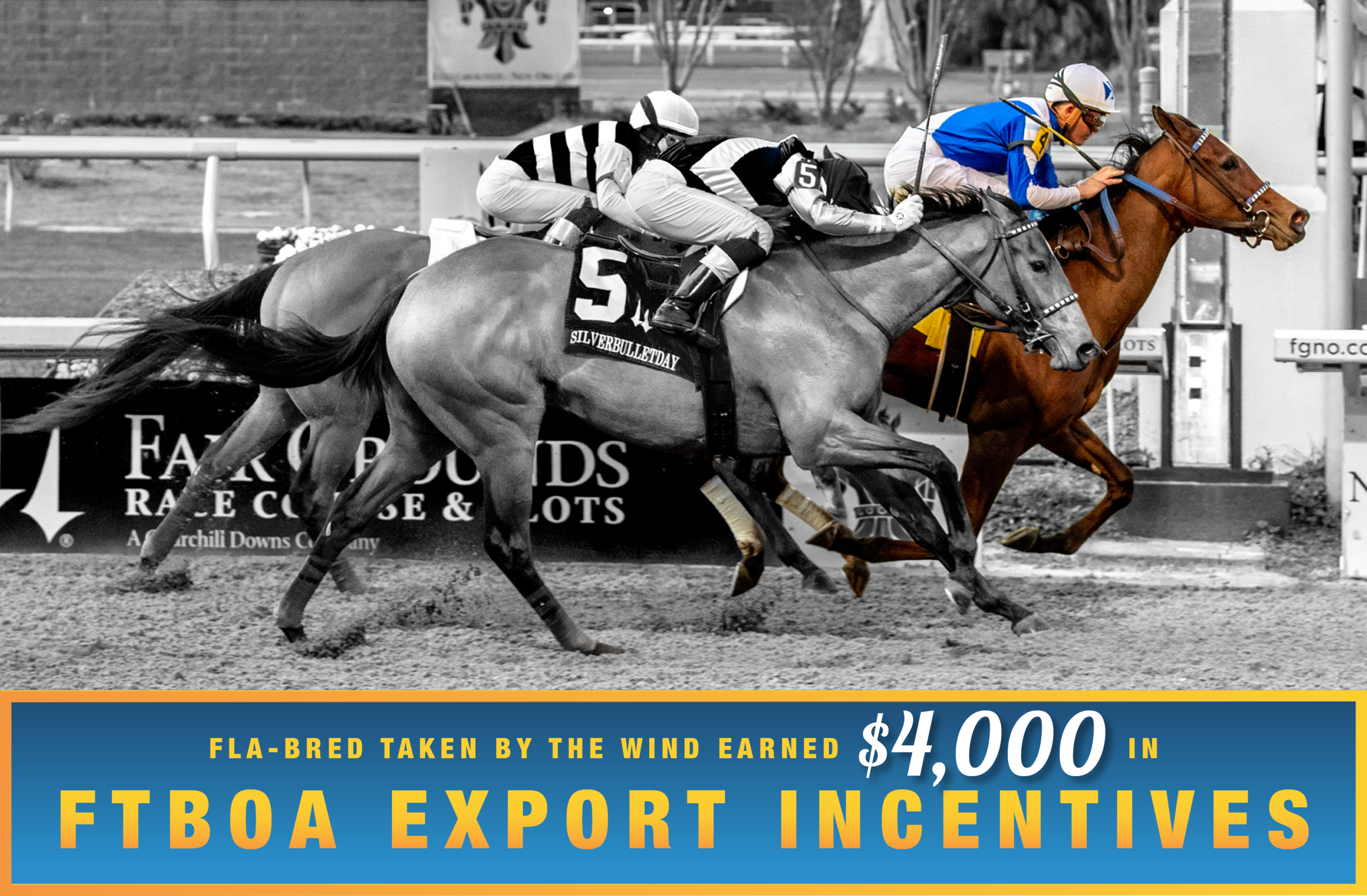 Florida-bred Thoroughbred Taken by the Wind and jockey Brian Hernandez Jr. lead the pack, with competitors Luv Your Neighbor (outside horse) and Atropa (inside horse) bunched around them. The duo held the lead, with Taken by the Wind stretching forward across the wire to win the 2026 Silverbulletday Stakes at Fair Grounds. The majority of the photo is in grayscale, but Taken by the Wind and Hernandez are in full color, emphasizing their winning position at the front of the pack. (Photo: ©Lou Hodges Jr./Hodges Photography) Beneath the photo, a light blue to dark blue gradient stretches across the width, outlined in an orange to yellow faded frame. The text in the frame reads, “Fla-Bred Taken by the Wind Earned $4,000 in FTBOA Export Incentives.” All the text is sans serif, all capitalized in bright orange, except for “$4,000” which is in a white shadowed script.