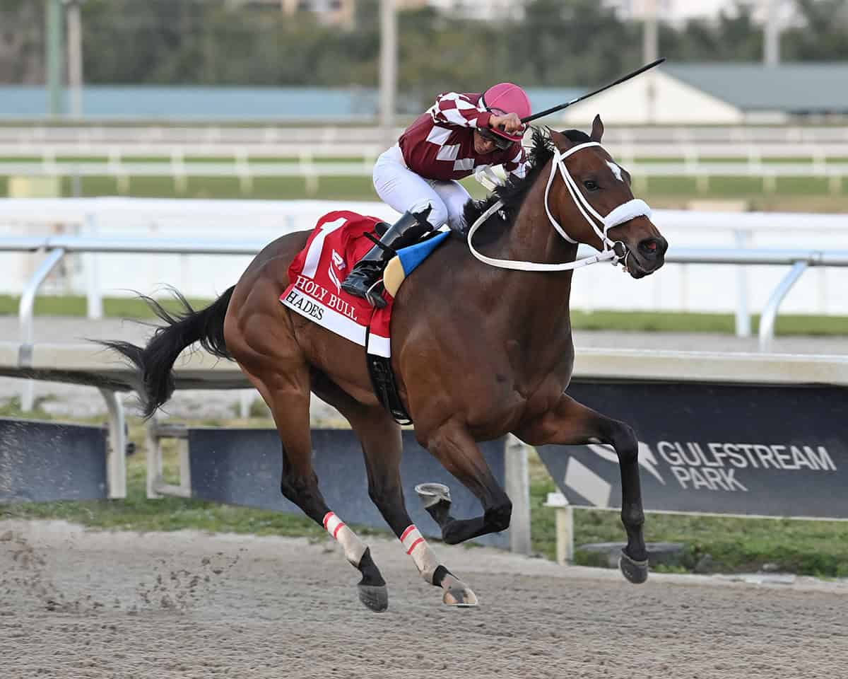 Florida-bred Thoroughbred Hades, ridden by jockey Paco Lopez, gallops down the stretch to win the 2024 Grade 3 Holy Bull at Gulfstream Park. (Photo: ©Lauren King)