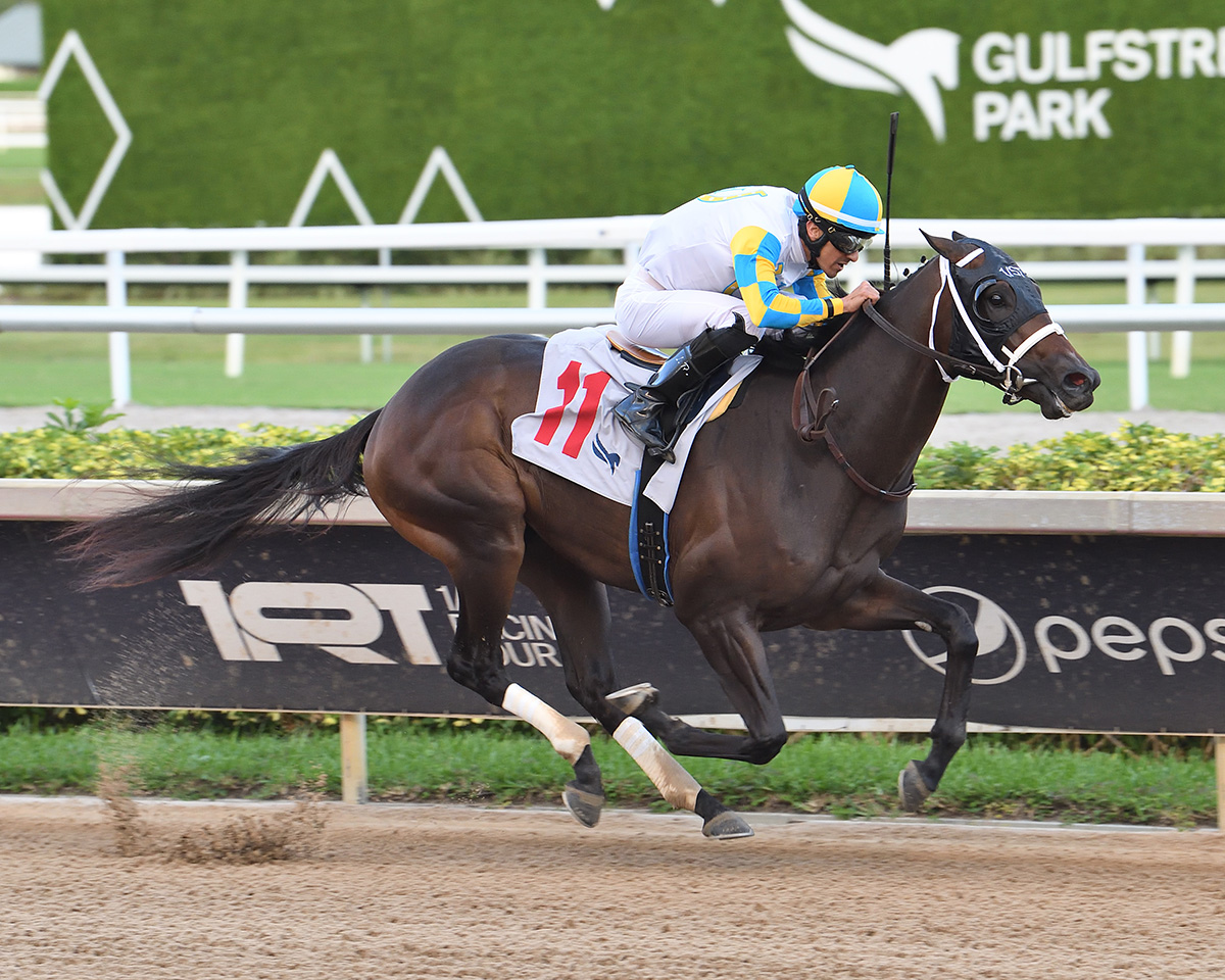 Florida-bred Thoroughbred Khozalite, guided by jockey Leonel Reyes, gallops to the wire at Gulfstream Park, winning the 2025 Florida Sire Stakes Affirmed. (Photo: ©Adam Coglianese)