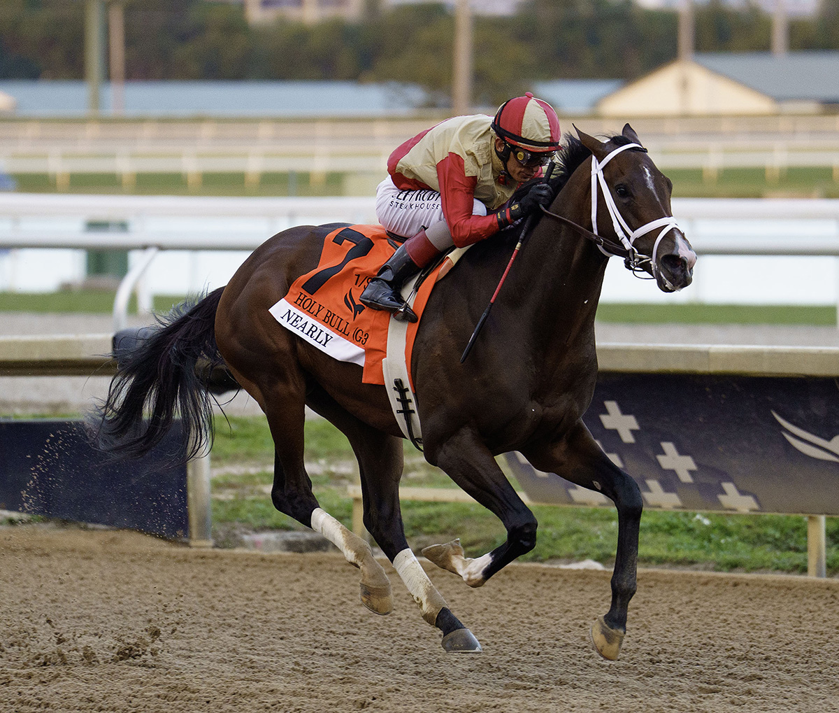 Florida-bred Thoroughbred Nearly, guided by Hall of Fame jockey John Velazquez, gallops to the wire at Gulfstream Park ahead of competition (not in frame of the photo), winning the 2026 Holy Bull (Grade 3). (Photo: ©G Sonny Hughes)