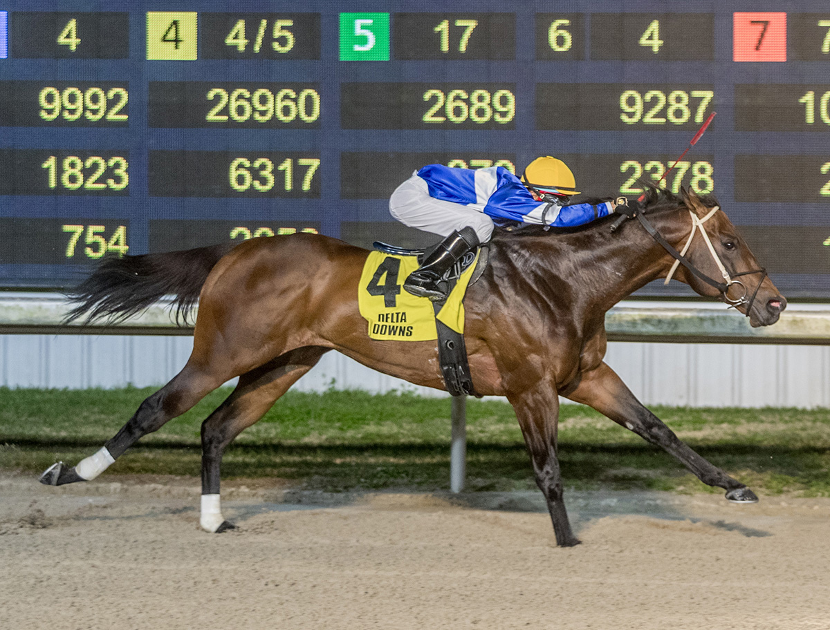 Florida-bred Thoroughbred Old Homestead, guided by Vicente Del-Cid, races to the wire, winning the 2025 Sam’s Town at Delta Downs. (Photo: ©Hodges Photography)