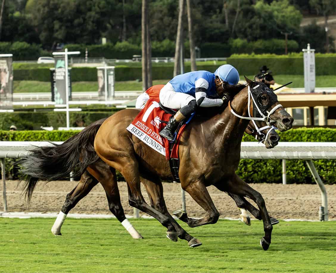 Florida-bred Thoroughbred Reef Runner and jockey Armando Ayuso sprint to the wire, flashing past competitor Yellow Card (on the inside rail ridden by Kazushi Kimura) to win the 2025 Eddie D Stakes at Santa Anita. (Photo: ©Benoit)