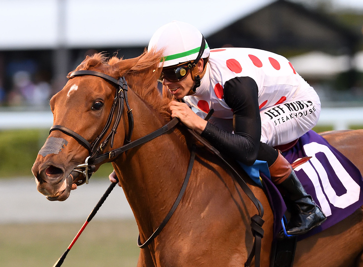 Closely cropped headshot of Florida-bred Thoroughbred Souper Zonda, ridden by jockey Tyler Gaffalione, streaking to the wire. The duo held the lead to win the 2026 Sunshine Filly & Mare Turf at Gulfstream Park. (Photo: ©Ryan Thompson)