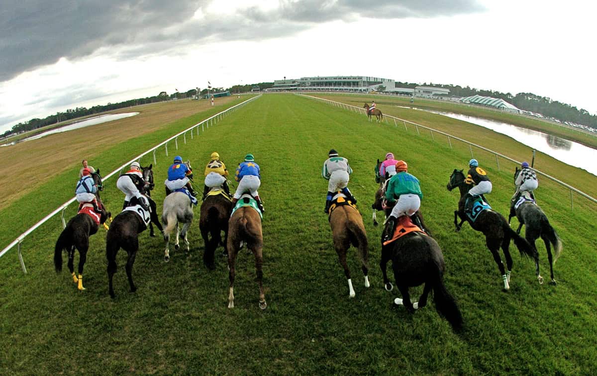 Thoroughbreds gallop out of the starting gate at Tampa Bay Downs. The expanse of the turf course stretches out before them, and in the distance, the grandstands sit under a cloudy sky. (Photo: ©Cooley)