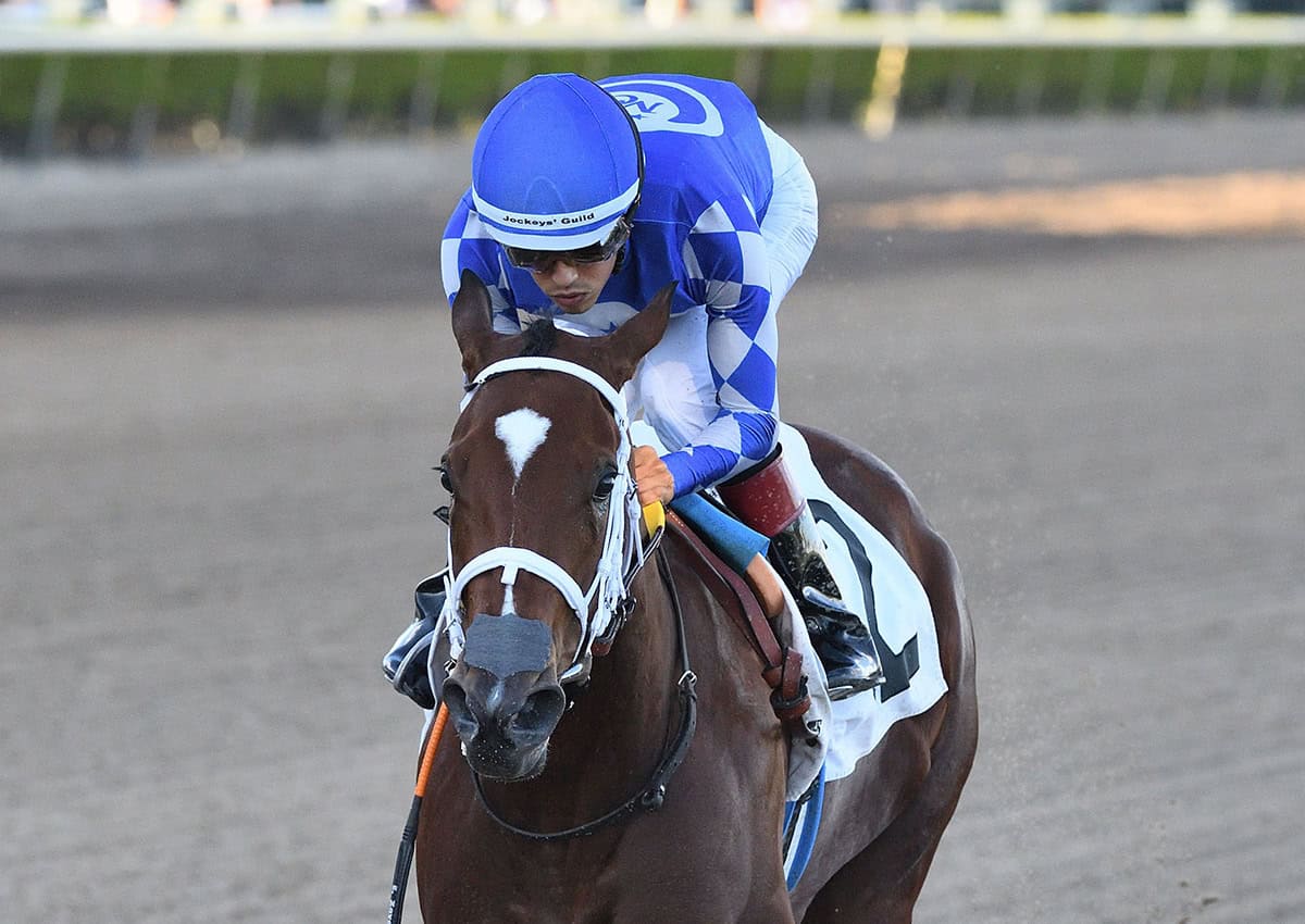 Closely cropped photo of Florida-bred Thoroughbred Tessellate, guided by jockey Edgard Zayas, galloping strong to the wire. The pair held the lead to win the 2025 Juvenile Fillies Sprint at Gulfstream Park. (Photo: ©Ryan Thompson)