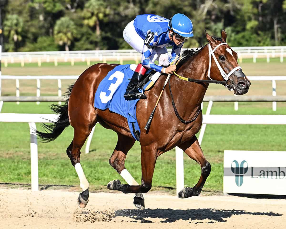 Florida-bred Thoroughbred Tessellate and jockey Edgard Zayas over power their competition (out of frame), taking over the lead in the top of the stretch to win the 2026 Gasparilla Stakes at Tampa Bay Downs. (Photo: ©SV Photography)