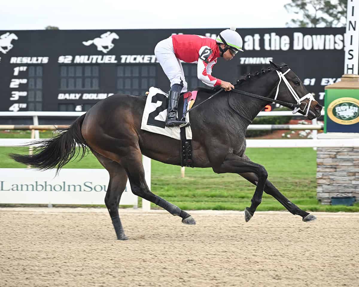 Florida-bred racehorse Win N Your In, guided by jockey Samy Camacho, pulls away from competition (out of frame of the photo) to win an upper tier, $100,000 optional claiming for fillies and mares, 4-years-old and older at Tampa Bay Downs on January 7, 2026. (Photo: ©SV Photography)