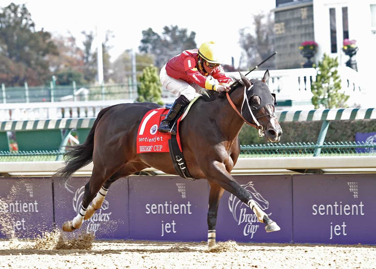 Florida-bred Thoroughbred Big Drama, with regular rider Eibar Coa aboard, stretches out to the wire to score the 2010 $1,818,000 Breeders’ Cup Sprint at Churchill Downs. (Photo: ©Reed Palmer/Breeders' Cup)