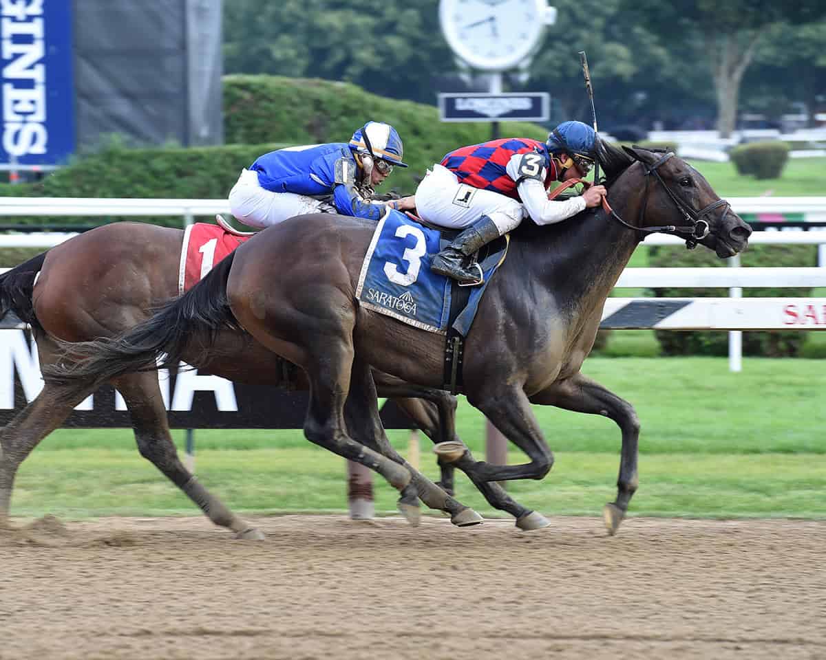 Thoroughbred Carina Mia, wearing the #3 on a blue Saratoga saddle pad, gallops to the wire while staving off incoming competition on the inside rail. (Photo: ©Coglianese)