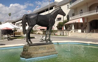 The metal statue of famous Thoroughbred racehorse, Citation, stands square on a stone base with his name on it, placed in the middle of a large fountain. The statue of Citation faces the entrance of the Hialeah Park Grandstands.