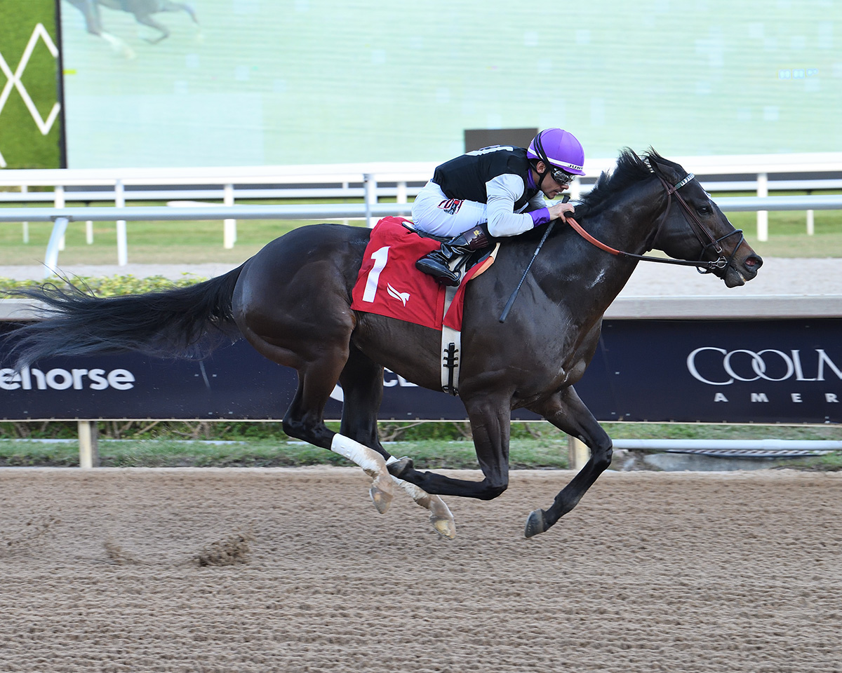 Florida-bred Thoroughbred Damon’s Mound, guided by jockey Junior Alvarado, gallops to the wire at Gulfstream Park, winning the 2026 Sunshine Sprint. (Photo: ©Ryan Thompson)
