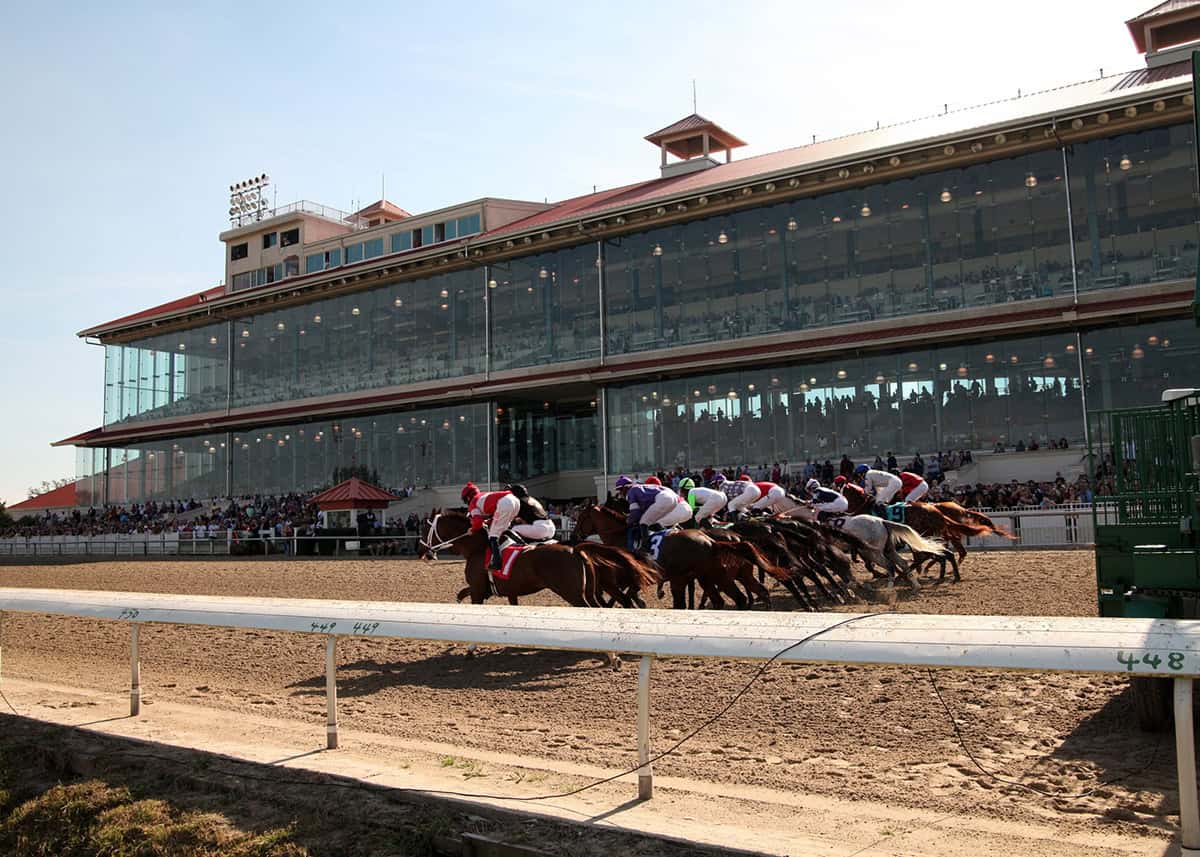 Thoroughbred racehorses spring forward from the starting gate in front of the grandstands at Fair Grounds Race Course. The grandstands are packed with people eagerly watching the race. (Photo: ©Lynn Roberts/Hodges Photography)