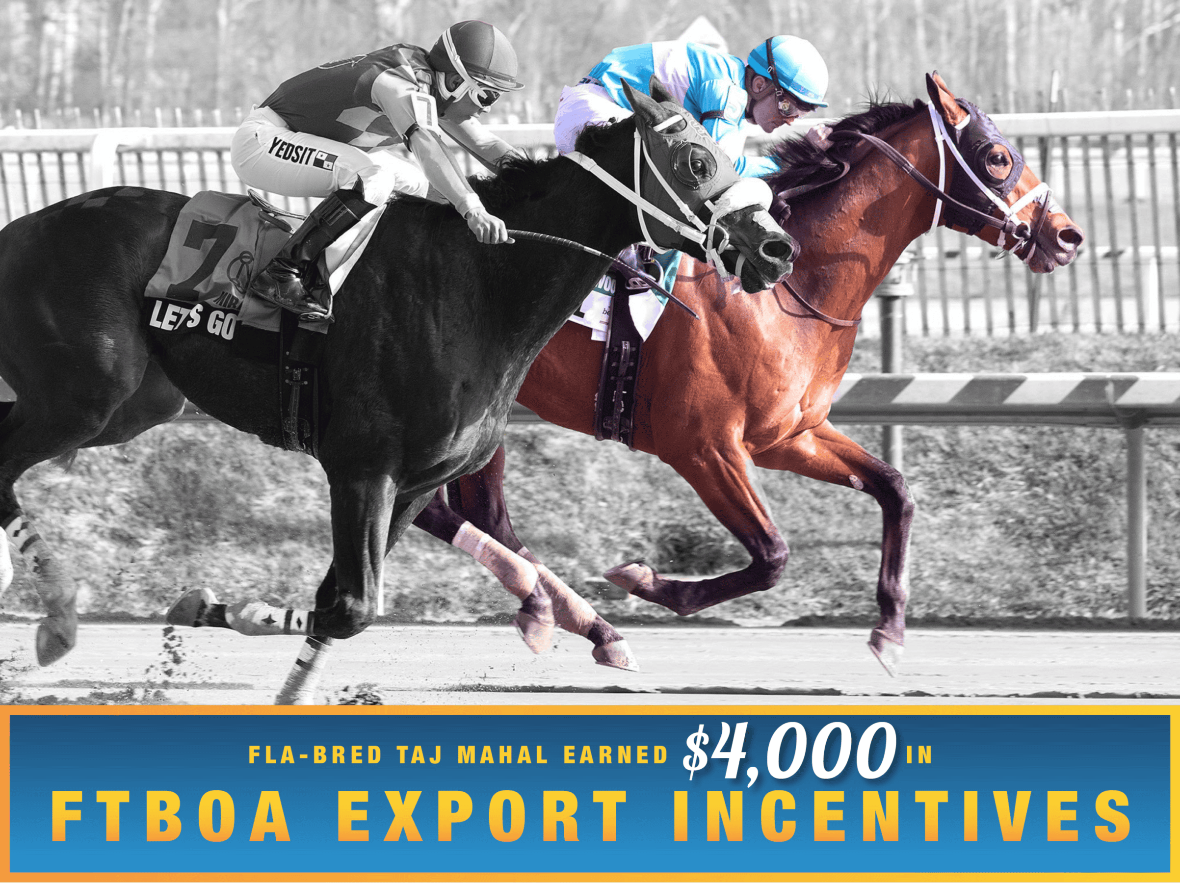 A mostly grayscale photo of Florida-bred Thoroughbred Taj Mahal, ridden by Sheldon Russell, stretches out to the wire at Laurel Park, fighting off Let’s Go Lando who applies pressure from the outside. Taj Mahal and Russell held the lead, winning the 2026 Miracle Wood. The duo are in full color, while the rest of the photo is in grayscale. (Photo: ©Maryland Jockey Club) Beneath the photo, a light blue to dark blue gradient stretches across the width, outlined in an orange to yellow faded frame. The text in the frame reads, “Fla-Bred Taj Mahal Earned $4,000 in FTBOA Export Incentives.” All the text is sans serif, all capitalized in bright orange, except for “$4,000” which is in a white shadowed script.