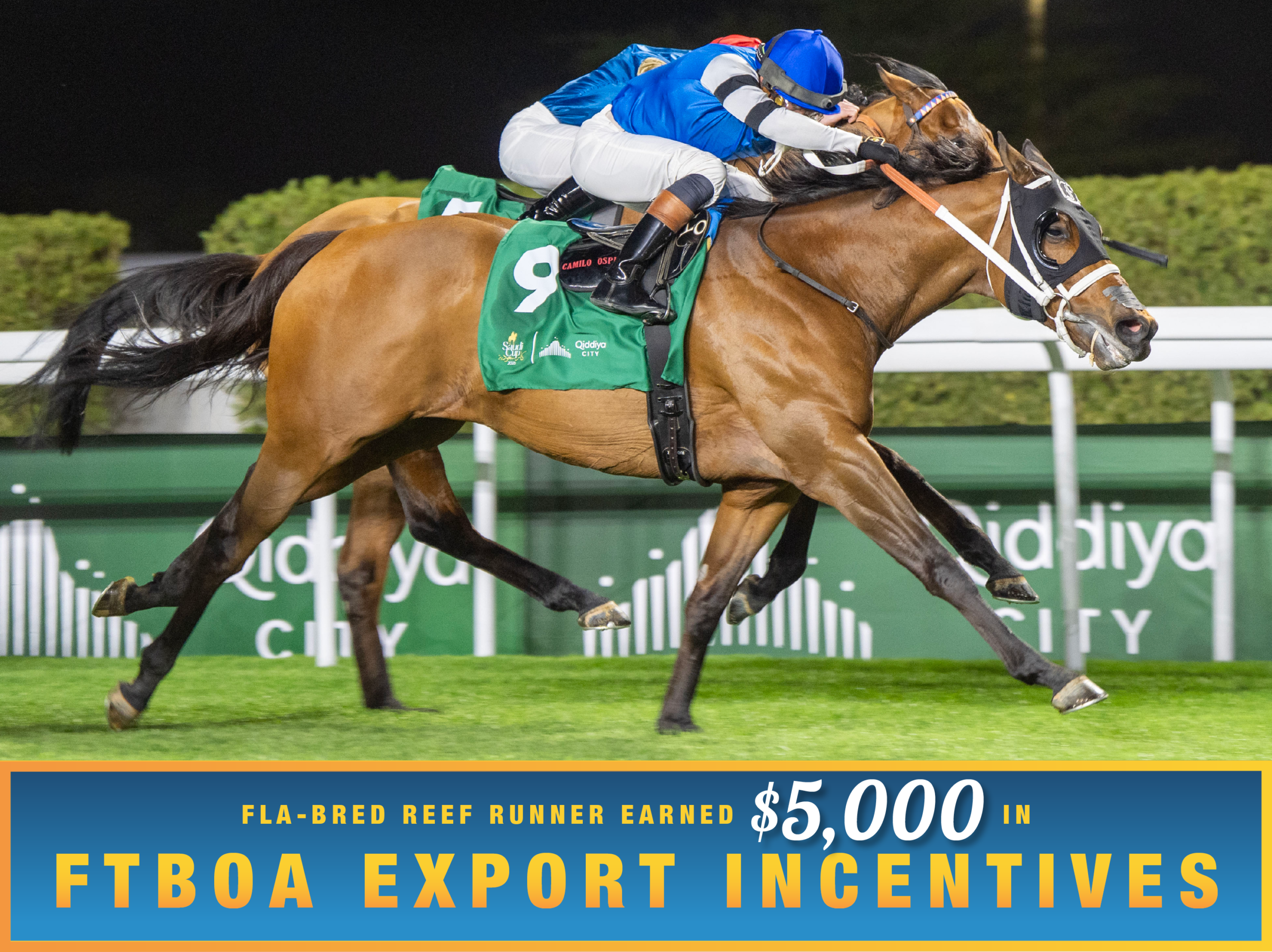 Florida-bred Reef Runner and jockey Irad Ortiz Jr. power down the stretch at King Abdulaziz Racecourse in Riyadh. The duo press ahead of inside-rail competition Comanche Brave (Ire), taking the lead to win the 2026 1351 Turf Sprint. (Photo: ©Mathea Kelley/JCSA) Beneath the photo, a light blue to dark blue gradient stretches across the width, outlined in an orange to yellow faded frame. The text in the frame reads, “Fla-Bred Reef Runner Earned $5,000 in FTBOA Export Incentives.” All the text is sans serif, all capitalized in bright orange, except for “$5,000” which is in a white shadowed script.