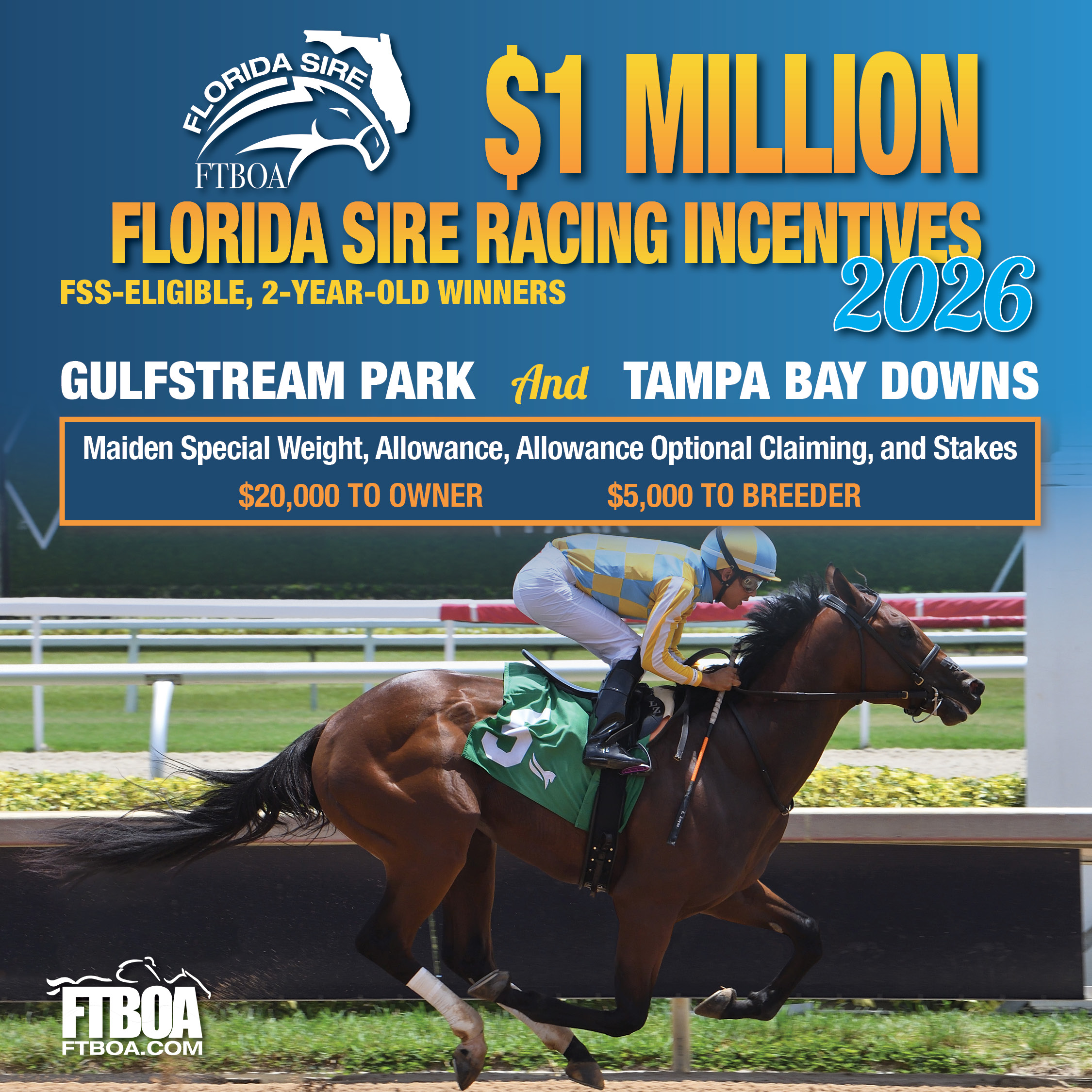 Square ad detailing information for the new $1 Million Florida Sire Racing Incentives Program for the FTBOA. The ad is based around an image of the Florida-bred Thoroughbred Strategic Risk (photo by ©Ryan Thompson) with overlapping orange, white, and yellow text. More information for the new program can be found at ftboa.com