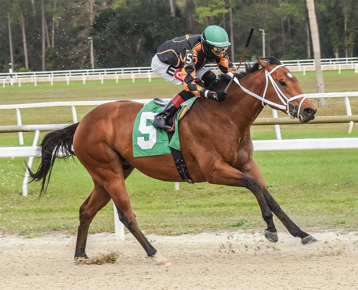 Florida-bred Thoroughbred and jockey Edwin Gonzalez gallop through the stretch, winning the 2025 Pasco Stakes at Tampa Bay Downs. (Photo: ©SV Photography)