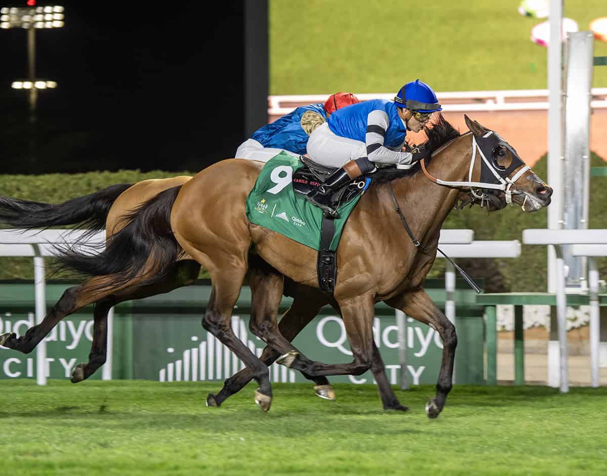Florida-bred Thoroughbred Reef Runner, ridden by jockey Irad Ortiz Jr., stretches out in a gallop to the wire at King Abdulaziz Racecourse. Reef Runner and Ortiz fought back competition incoming on the inside rail, holding the lead and winning the 2026 1351 Turf Sprint. (Photo: ©Mathea Kelley/JCSA)