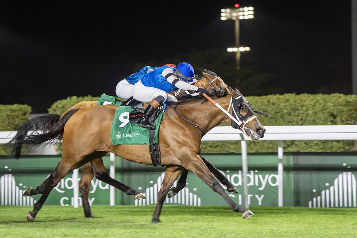 Florida-bred Thoroughbred Reef Runner, ridden by jockey Irad Ortiz Jr., stretches out in a gallop to the wire at King Abdulaziz Racecourse. Reef Runner and Ortiz fought back competition incoming on the inside rail, holding the lead and winning the 2026 1351 Turf Sprint. (Photo: ©Mathea Kelley/JCSA)