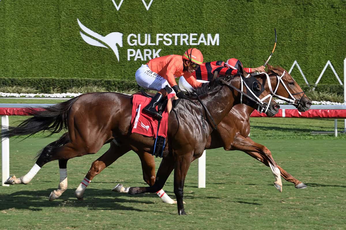 Florida-bred Thoroughbred Rezasrolex, ridden by jockey Edgard Zayas, stretches out in a gallop along the inside rail at Gulfstream Park. Competitor Poseidon’s Law, ridden by Irad Ortiz Jr, pressures the duo from the outside, galloping at Rezasrolex’s neck, but Rezasrolex and Zayas held the lead to win an Allowance Optional Claiming December 19, 2025. (Photo: ©Adam Coglianese)