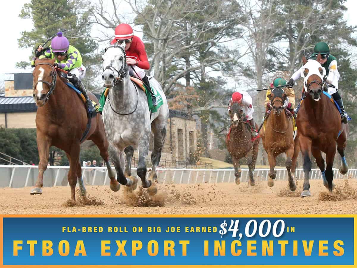 Florida-bred Thoroughbred Roll On Big Joe and jockey Julien Leparoux gallop strong towards the camera, flanked on the outside by Tejano Twist as the rest of the field follows at Oaklawn Park. Roll On Big Joe and Leparoux held the lead to win the 2026 King Cotton. (Photo: ©Renee Torbit/Coady Media) Beneath the photo, a light blue to dark blue gradient stretches across the width, outlined in an orange to yellow faded frame. The text in the frame reads, “Fla-Bred Roll On Big Joe Earned $4,000 in FTBOA Export Incentives.” All the text is sans serif, all capitalized in bright orange, except for “$4,000” which is in a white shadowed script.
