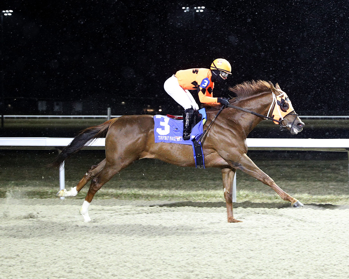 Florida-bred Thoroughbred Shards stretches out in a gallop, rocketing along the track during a race at Turfway Park. (Photo: ©Coady Media)