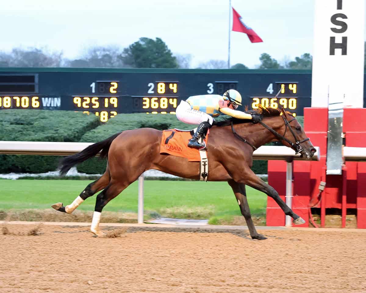 Florida-bred Thoroughbred Strategic Risk, guided by jockey Javier Castellano, stretches out to the wire at Oaklawn Park, galloping across it unchallenged to win the 2026 Smarty Jones. (Photo: ©Hunter Fridley/Coady Media)