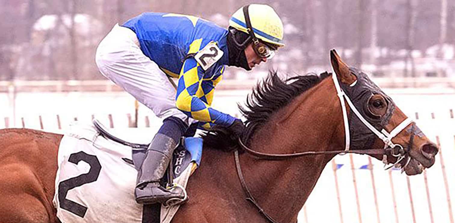 Closely cropped photo of Florida-bred Thoroughbred Taj Mahal, guided by jockey Sheldon Russell, gallops to the wire at Laurel Park, winning a maiden debut on February 6, 2026. (Photo: ©Jim McCue)