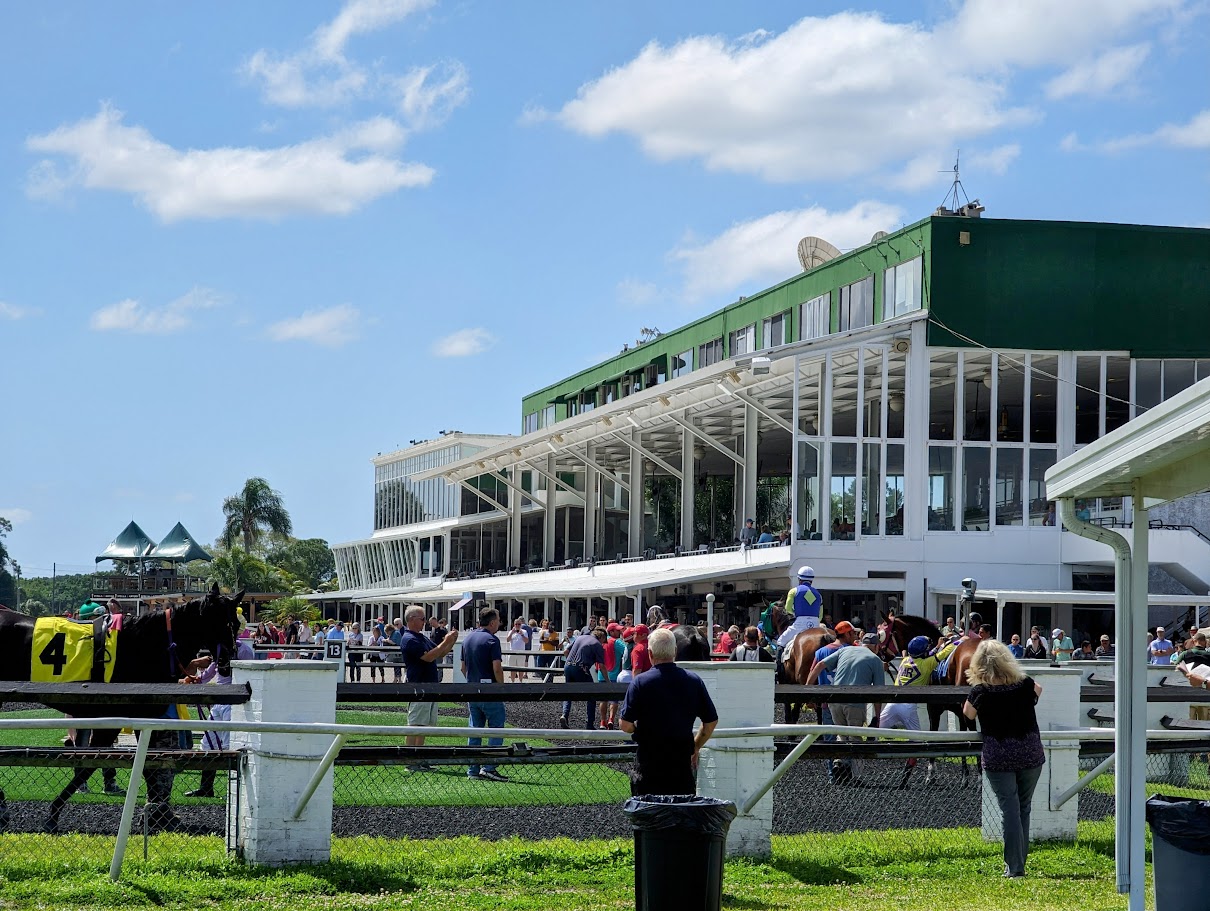 Photo of the grandstands of Tampa Bay Downs, full of people, taken in front of the paddock as racehorses are walked before the next race. (Photo: ©Tammy A. Gantt)
