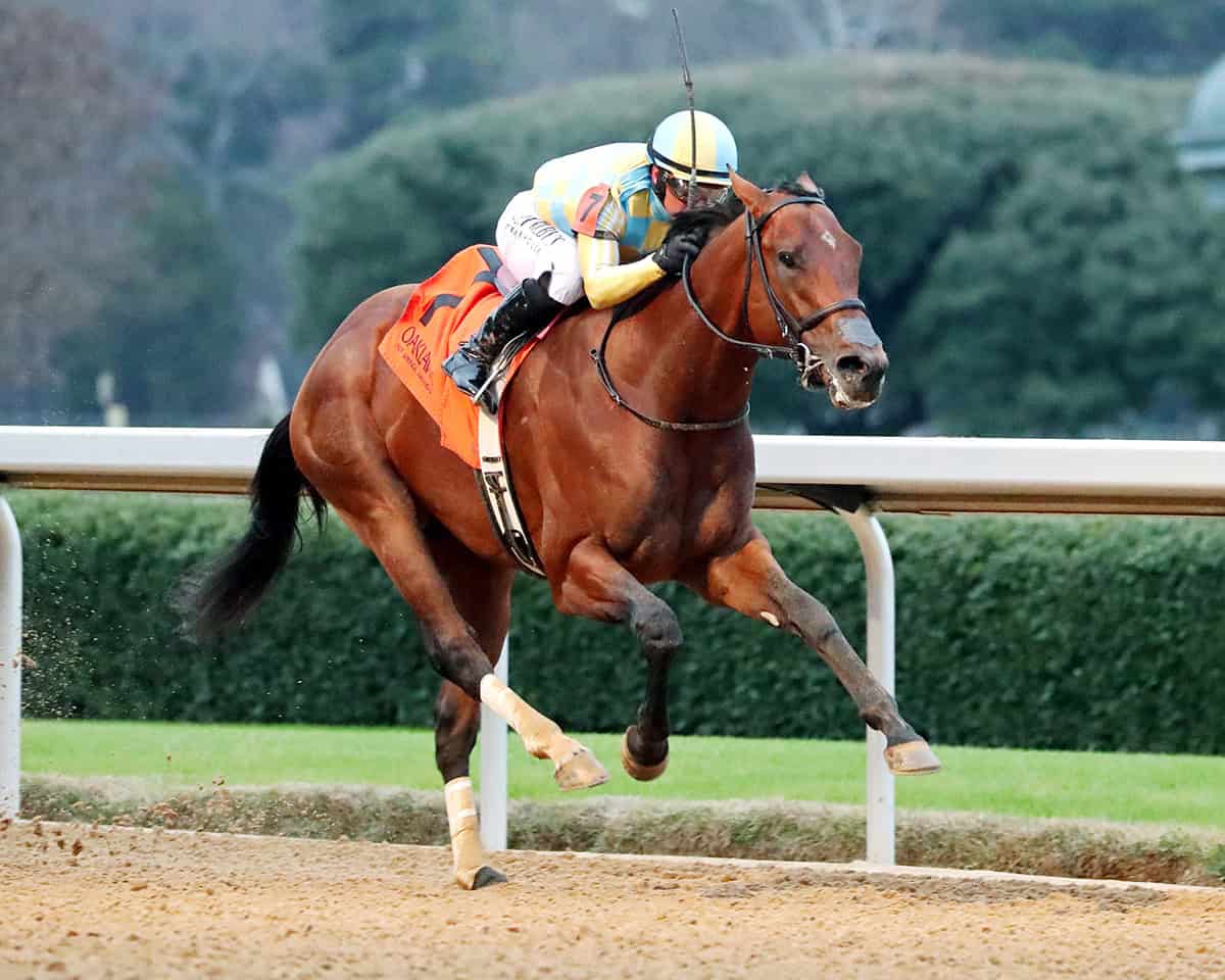 Florida-bred Thoroughbred Strategic Risk, guided by jockey Javier Castellano, stretches out to the wire at Oaklawn Park, galloping across it unchallenged to win the 2026 Smarty Jones. (Photo: ©Hunter Fridley/Coady Media)