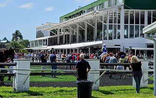 Photo of the Grandstand of Tampa Bay Downs, full of people, taken in front of the paddock as racehorses are walked before the next race. (Photo: ©Tammy A. Gantt)