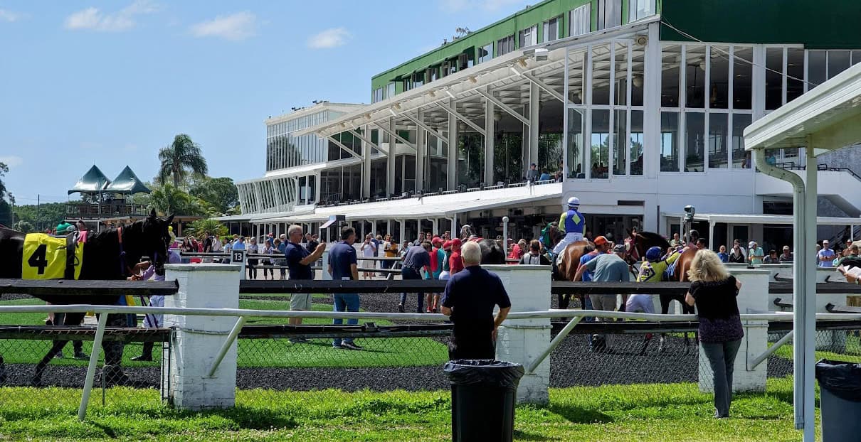 Photo of the grandstands of Tampa Bay Downs, full of people, taken in front of the paddock as racehorses are walked before the next race. (Photo: ©Tammy A. Gantt)