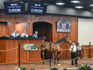 A bay Thoroughbred stands in the middle of the wood-paneled auction ring at OBS Sales’ grounds. His ears are pricked in the direction of the surrounding crowd. Above the colt’s head, a screen reads, “Hip 416, 24 C. Into Mischief - Sweet Diane, $1,850,000” (Photo: ©Judit Seipert)