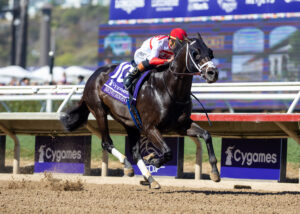 Florida-bred Thoroughbred Bentornato and jockey Irad Ortiz Jr. power through the stretch in a dominating win of the 2025 Breeders’ Cup Sprint at Del Mar Thoroughbred Club. (Photo: ©Benoit)