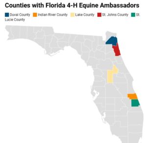Map of Florida showcasing what counties have 4-H Ambassadors. 