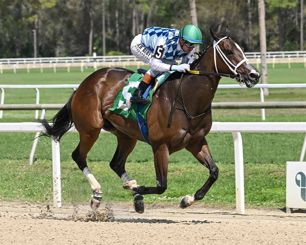 Florida-bred Thoroughbred Mystic Lake, guided by jockey Flavien Prat, gallops to the wire at Tampa Bay Downs unchallenged, winning the 2026 Manatee Overnight Handicap. (Photo: ©SV Photography)