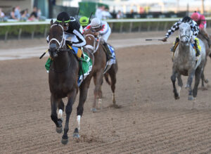 Florida-bred Thoroughbred R Disaster, guided by jockey Micah Husbands, gallops toward the camera, leading the pack at Gulfstream Park. The duo held the lead, winning the 2026 Grade 3 Hurricane Bertie. (Photo: ©Ryan Thompson)
