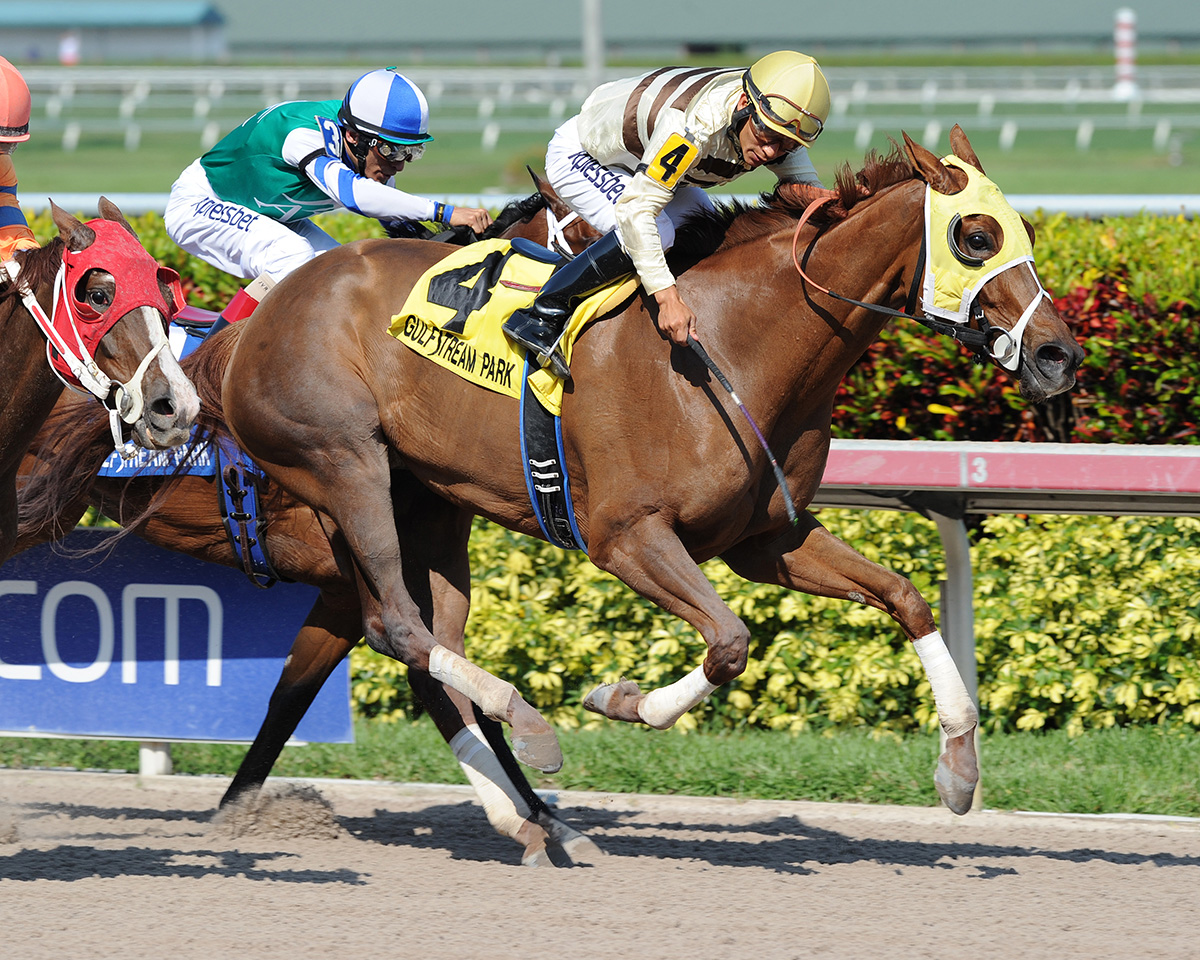 Florida-bred Thoroughbred Classic Point, ridden by Paco Lopez, gallops to the wire, surpassing competitor Sweet Whiskey and John Velazquez running on the inside rail, and fending off fellow Florida-bred You Bought Her, ridden by Corey Lanerie, who applied pressure from the outside. Classic Point and Lopez held the lead to win the 2015 Grade 2 Inside Information. (Photo: ©Lauren King)