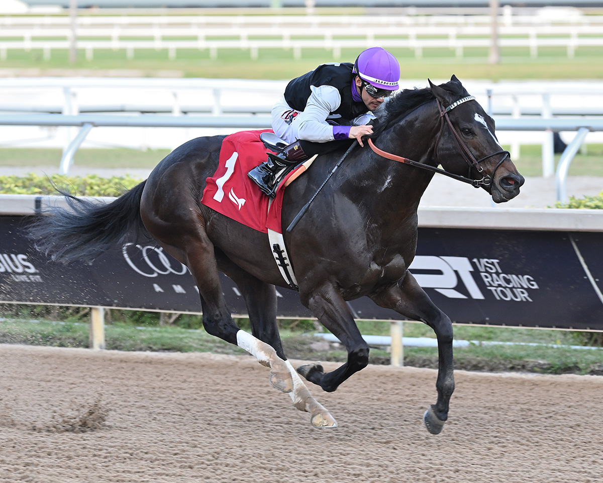 Florida-bred Thoroughbred Damon’s Mound, guided by jockey Junior Alvarado, gallops to the wire at Gulfstream Park, scoring the 2026 Sunshine Sprint. (Photo: ©Lauren King)