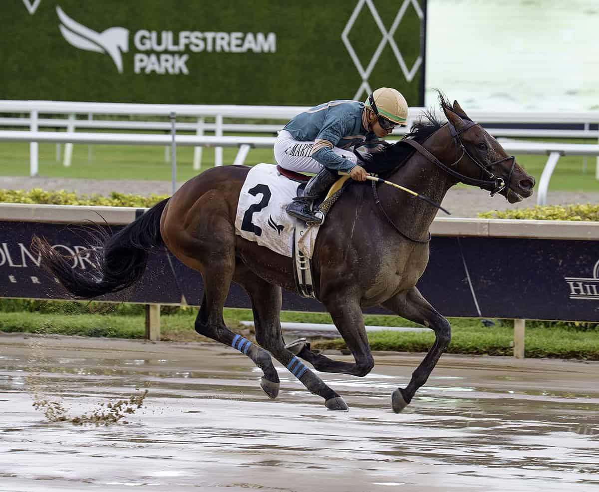 Florida-bred Thoroughbred Diciassette, ridden by jockey Jonathan Ocasio, gallops to the wire to win the 2025 Proud Man at Gulfstream Park. (Photo: ©G Sonny Hughes)