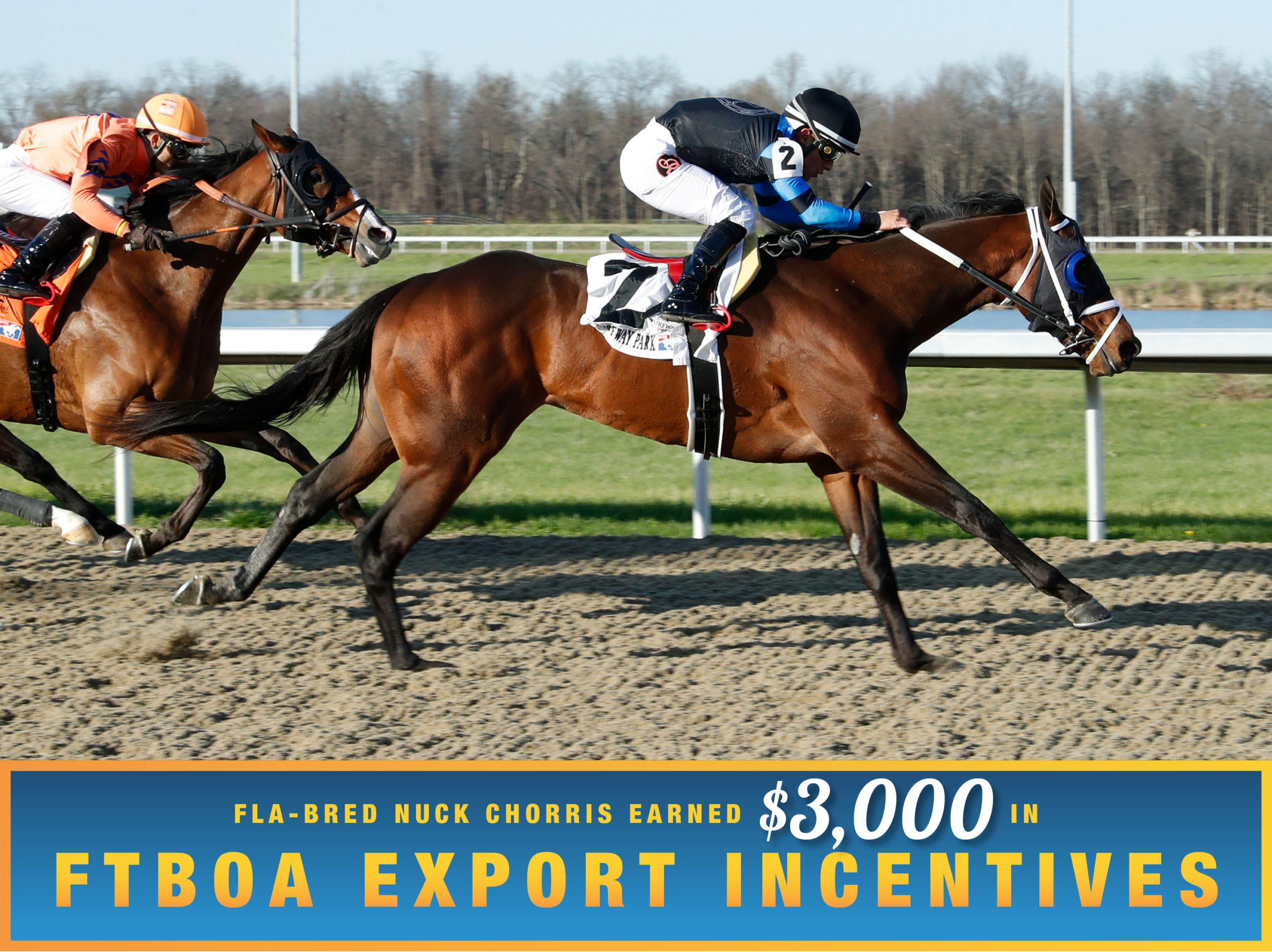 Florida-bred Thoroughbred Nuck Chorris stretches out to the wire with jockey Walter Rodriguez in the irons, outpacing competition to win a maiden special weight for 3-year-old auction graduates going six furlongs on the all-weather course at Turfway Park on March 28, 2026. (Photo: ©Coady Media) Beneath the photo, a light blue to dark blue gradient stretches across the width, outlined in an orange to yellow faded frame. The text in the frame reads, “Fla-Bred Nuck Chorris Earned $3,000 in FTBOA Export Incentives.” All the text is sans serif, all capitalized in bright orange, except for “$3,000” which is in a white shadowed script.