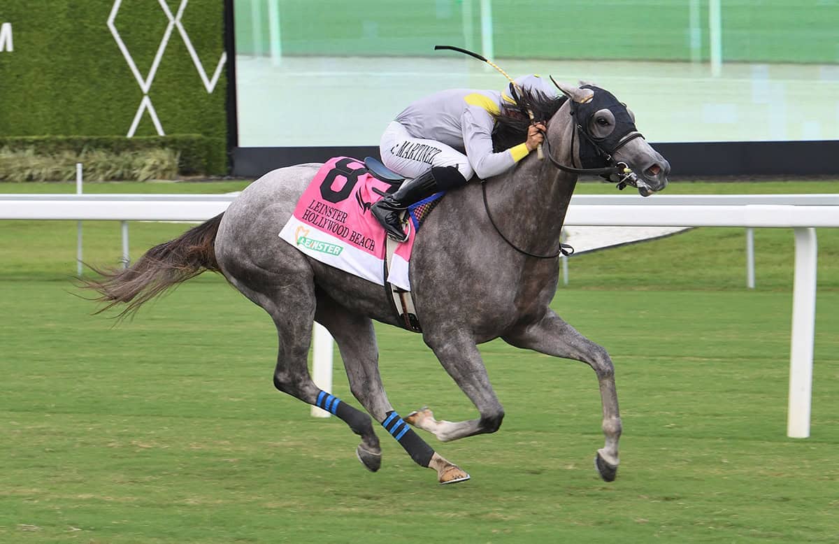 Florida-bred Thoroughbred Lennilu, guided by jockey Jonathan Ocasio, gallops to the wire in a powerful win of the 2025 Leinster Hollywood Beach Stakes. (Photo: ©Lauren King)
