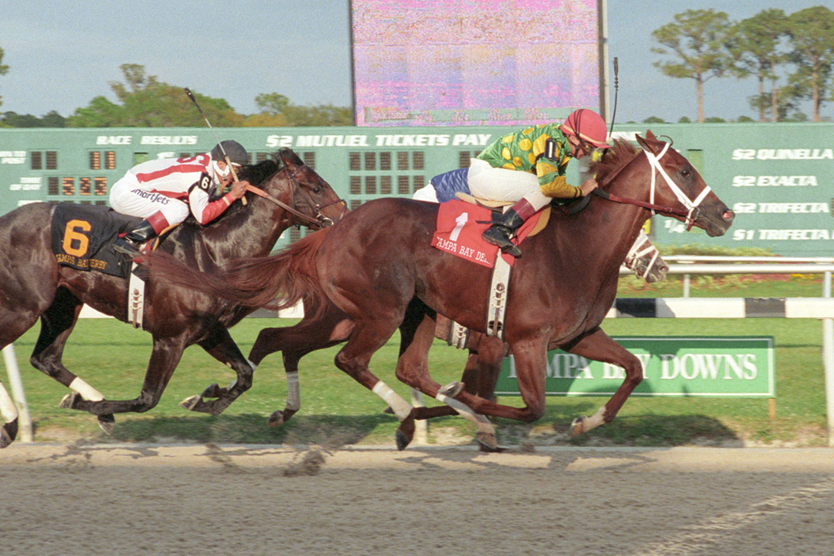 Florida-bred Thoroughbred Limehouse, ridden by jockey Pat Day, rockets to the wire during the 2004 Tampa Bay Derby (Grade 3). The duo, flanked by competitors Mustanfar on the inside with Swingforthefences directly behind on the inside rail, won the dual by a neck. (Photo: ©Cooley)
