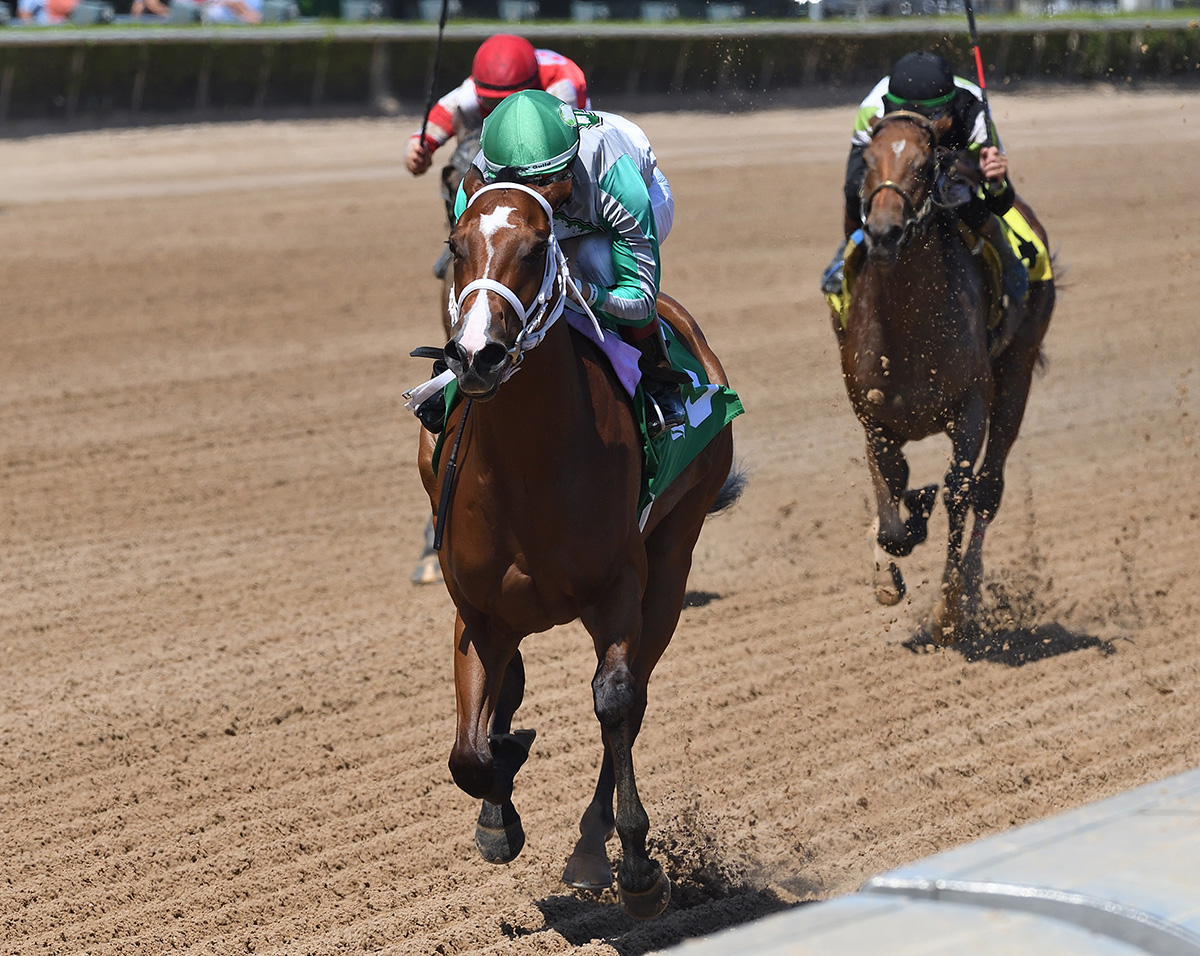 Florida-bred Thoroughbred Mythical gallops towards the camera, guided by jockey Edgard Zayas. Fellow Florida-bred Sweet Ember and jockey Jose Morelos (out of frame on the inside rail), alongside competitors Hollen Drive (far outside) and A Fine Chardonnay (directly behind Mythical), followed behind as Mythical and Zayas crossed the wire first to win the 2026 Any Limit at Gulstream Park. (Photo: ©Ryan Thompson)