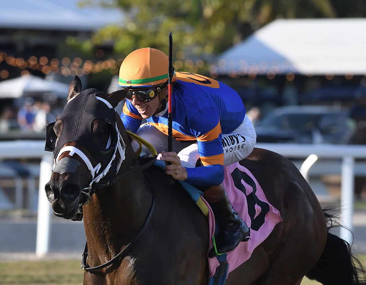 Closely cropped photo of Florida-bred Thoroughbred Neoequos and jockey Tyler Gaffalione sprinting to the wire, scoring the 2026 Sunshine Turf at Gulfstream Park. (Photo: ©Ryan Thompson)