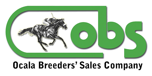 Logo for OBS Sales. The logo consists of the green OBS logo (lowercase “obs” with a simplified race track that starts at the top of the “b” and loops around to the left of the logo, surrounding the “o”) with an illustration of a jockey and racehorse galloping on the left side of the letters. Beneath the main logo in black, sans serif lettering reads, “Ocala Breeders’ Sales Company.”