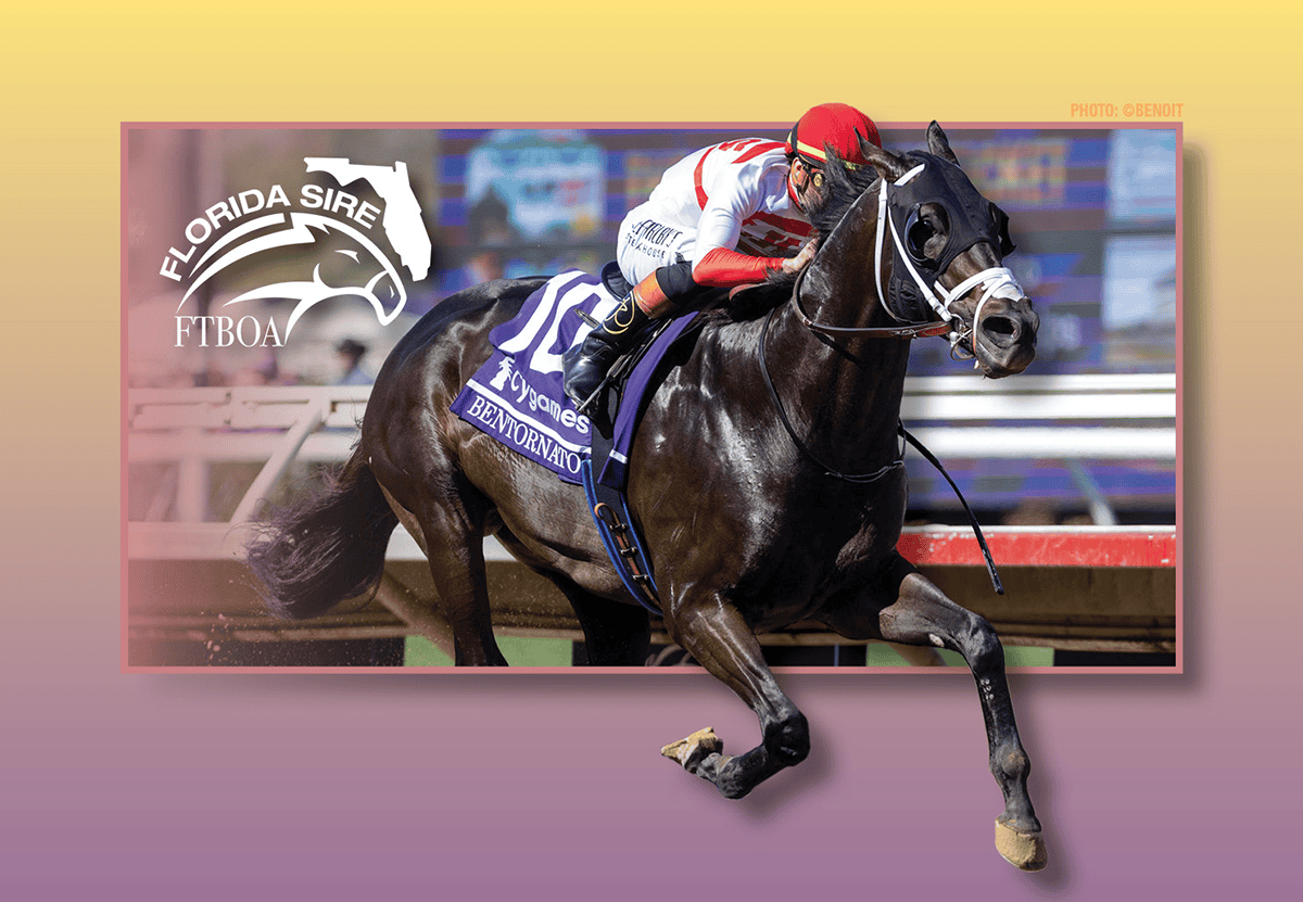 Image of Thoroughbred Bentornato and jockey Irad Ortiz, Jr winning the 2025 Breeders’ Cup Sprint. (Photo: ©Benoit) The photo of the duo is framed by a light purple rectangle that Bentornato is galloping out of, and the background beyond the frame is a light yellow to purple fade. The logo for FTBOA’s Florida Sire program is featured in the top left hand corner.